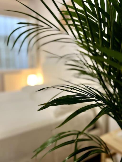 Casa Centro Firenze Wi Fi Aria Condizionata Netflix Daire Dış mekan fotoğraf