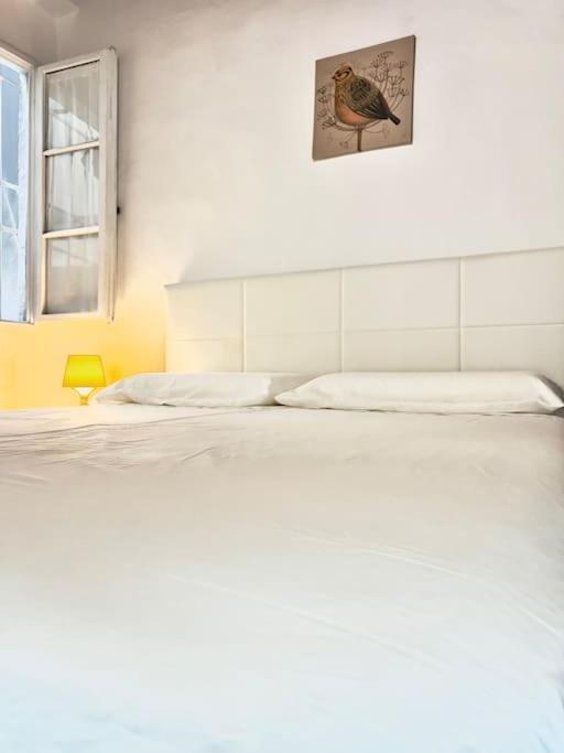 Casa Centro Firenze Wi Fi Aria Condizionata Netflix Daire Dış mekan fotoğraf